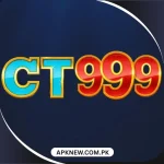 CT999 Game Logo