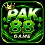 PAK 88 Game